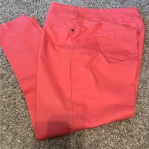 DG2 by Diane Gilman Vibrant Pink Skinny Jeans. 1XT